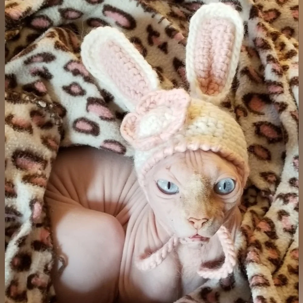 Handmade Crochet Bunny Ear Hat For Cat Or Dog